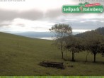 Archiv Foto Webcam Seilpark Balmberg 06:00