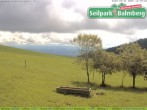 Archiv Foto Webcam Seilpark Balmberg 11:00