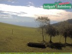 Archived image Webcam Balmberg: View Alps 10:00