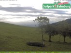 Archiv Foto Webcam Seilpark Balmberg 08:00