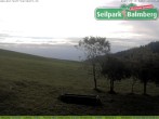 Archiv Foto Webcam Seilpark Balmberg 09:00