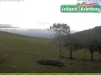 Archiv Foto Webcam Seilpark Balmberg 10:00