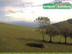 Archiv Foto Webcam Seilpark Balmberg 13:00