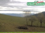 Archiv Foto Webcam Seilpark Balmberg 09:00