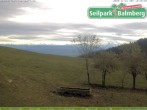 Archiv Foto Webcam Seilpark Balmberg 11:00