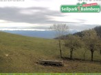 Archiv Foto Webcam Seilpark Balmberg 13:00