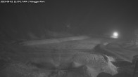 Archiv Foto Webcam Skigebiet Mount Baw Baw - Toboggan Park 23:00