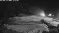Archived image Webcam Mount Baw Baw Ski Resort - Toboggan Park 22:00