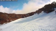 Archiv Foto Webcam Skigebiet Mount Baw Baw - Mittelstation 14:00