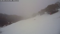 Archiv Foto Webcam Skigebiet Mount Baw Baw - Mittelstation 15:00