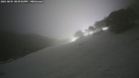 Archiv Foto Webcam Skigebiet Mount Baw Baw - Mittelstation 19:00