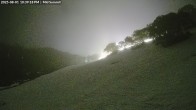 Archiv Foto Webcam Skigebiet Mount Baw Baw - Mittelstation 21:00