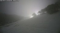 Archived image Webcam Mount Baw Baw Ski Resort - Mid Summit 00:00