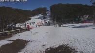 Archiv Foto Webcam Skigebiet Mount Baw Baw - Tank Hill Tellerlift 11:00