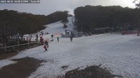 Archiv Foto Webcam Skigebiet Mount Baw Baw - Tank Hill Tellerlift 14:00