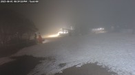 Archiv Foto Webcam Skigebiet Mount Baw Baw - Tank Hill Tellerlift 19:00