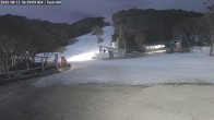 Archived image Webcam Mount Baw Baw Ski Resort - Tank Hill Platter 00:00