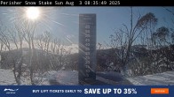 Archiv Foto Webcam Perisher: Neuschnee Snow Stake 07:00