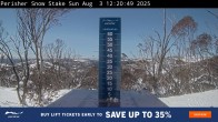 Archiv Foto Webcam Perisher: Neuschnee Snow Stake 11:00