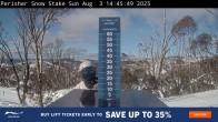 Archiv Foto Webcam Perisher: Neuschnee Snow Stake 14:00
