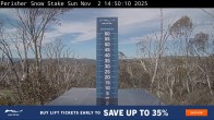 Archiv Foto Webcam Perisher: Neuschnee Snow Stake 13:00