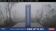 Archiv Foto Webcam Perisher: Neuschnee Snow Stake 17:00