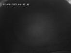 Archiv Foto Webcam Faistenau: Blick auf die Loipe 23:00