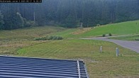 Archived image Webcam Willingen - Biathlon Roller Ski 13:00