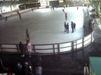 Archived image Webcam Willingen - View Ice Arena 11:00