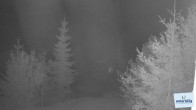 Archiv Foto Webcam Unterberg: Gipfellifte 03:00