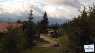 Archiv Foto Webcam Unterberg: Gipfellifte 08:00