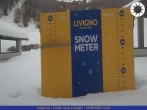 Archiv Foto Webcam Schneehöhe Livigno 09:00
