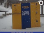 Archiv Foto Webcam Schneehöhe Livigno 13:00