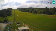 Archiv Foto Webcam Maribor: Trikotna Jasa 11:00