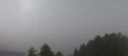 Archiv Foto Webcam Forni di Sopra - Malga Varmost: Livecam 11:00