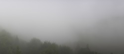 Archiv Foto Webcam Blick auf Hintersee in der Fuschlseeregion 11:00