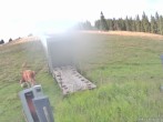 Archived image Webcam Weinebene Ski Resort: Magic Carpet 05:00
