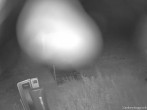 Archiv Foto Webcam Weinebene Skigebiet: Zauberteppich 23:00