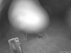 Archiv Foto Webcam Weinebene Skigebiet: Zauberteppich 01:00