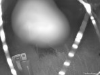Archiv Foto Webcam Weinebene Skigebiet: Zauberteppich 23:00