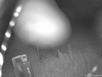 Archived image Webcam Weinebene Ski Resort: Magic Carpet 23:00