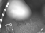 Archived image Webcam Weinebene Ski Resort: Magic Carpet 01:00
