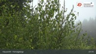 Archived image Webcam Mehlmeisel - Klausen lifts 06:00