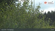 Archiv Foto Webcam Mehlmeisel: Klausenlifte im Fichtelgebirge 16:00