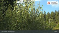 Archived image Webcam Mehlmeisel - Klausen lifts 07:00