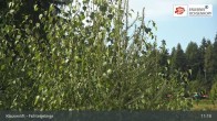 Archived image Webcam Mehlmeisel - Klausen lifts 10:00