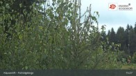 Archived image Webcam Mehlmeisel - Klausen lifts 14:00