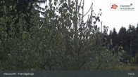 Archived image Webcam Mehlmeisel - Klausen lifts 00:00