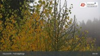 Archived image Webcam Mehlmeisel - Klausen lifts 08:00