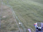Archiv Foto Webcam Schlepplifte in Sinswang 11:00